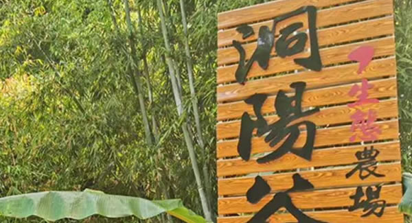 广有合页2019踏春拓展--经历中成长，成长中经历