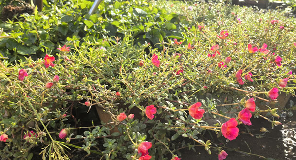 来自广有五金的早会——美丽而温馨的邂逅|广有五金&东莞合页