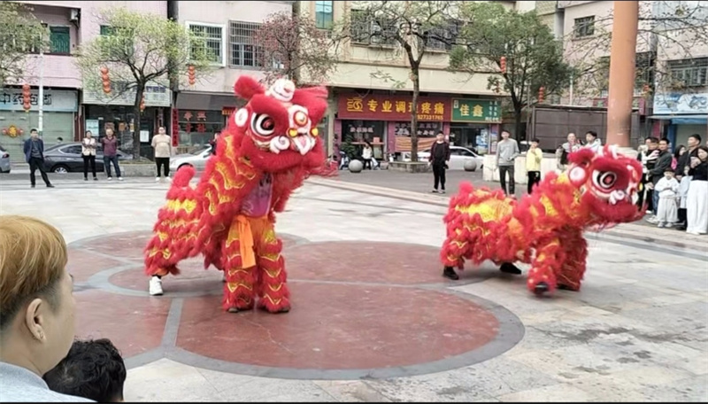 9广东惠州的年,是醒狮起舞,是祥瑞临门.jpg